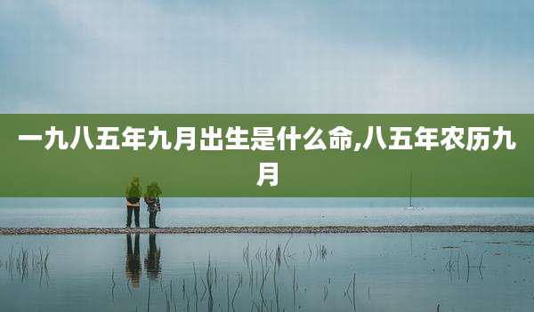 一九八五年九月出生是什么命,八五年农历九月