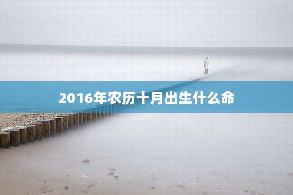 2016年农历十月出生什么命