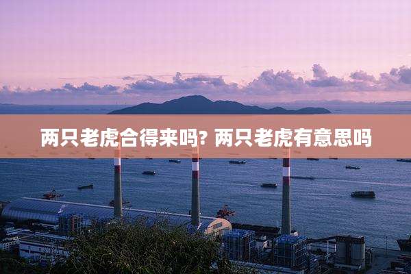 两只老虎合得来吗? 两只老虎有意思吗