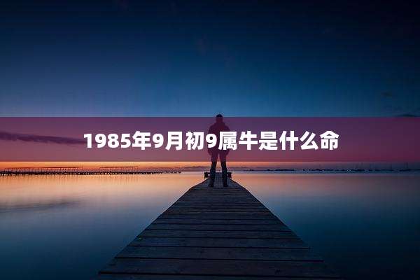 1985年9月初9属牛是什么命
