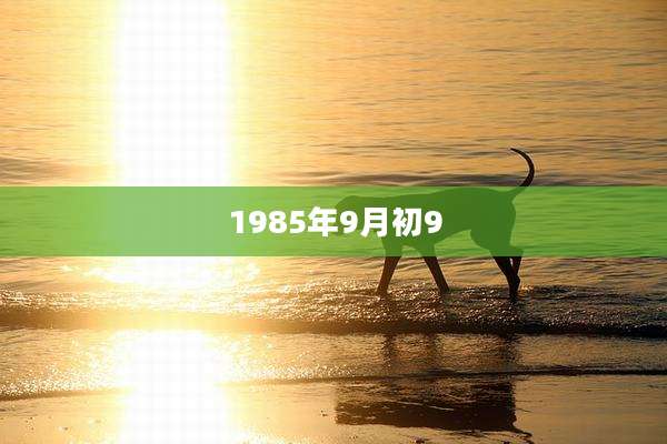 1985年9月初9