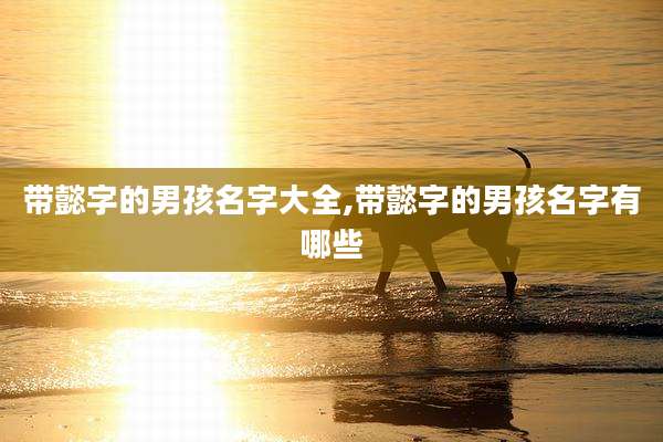 带懿字的男孩名字大全,带懿字的男孩名字有哪些