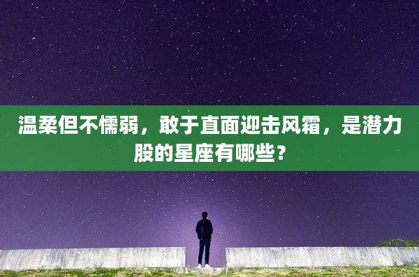温柔但不懦弱,敢于直面迎击风霜,是潜力股的星座有哪些?