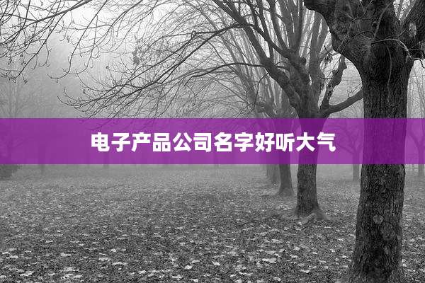电子产品公司名字好听大气