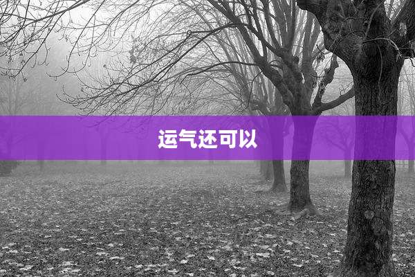 运气还可以