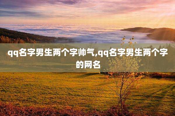 qq名字男生两个字帅气,qq名字男生两个字的网名