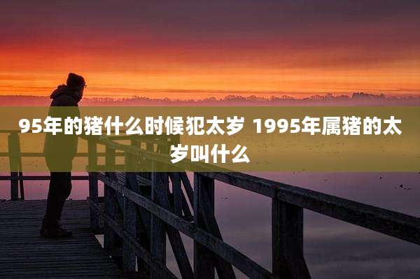 95年的猪什么时候犯太岁 1995年属猪的太岁叫什么