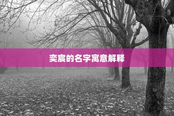 奕宸的名字寓意解释