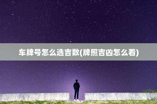 车牌号怎么选吉数(牌照吉凶怎么看)