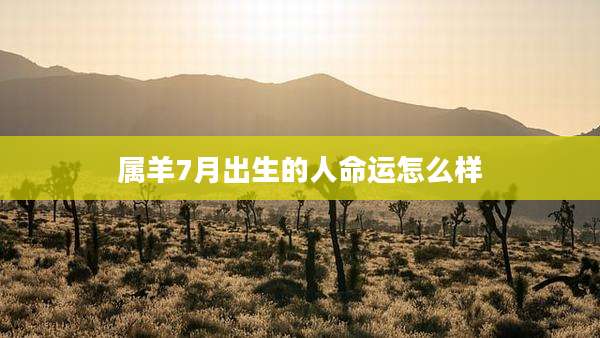 属羊7月出生的人命运怎么样