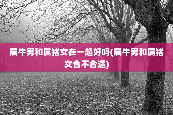 属牛男和属猪女在一起好吗(属牛男和属猪女合不合适)