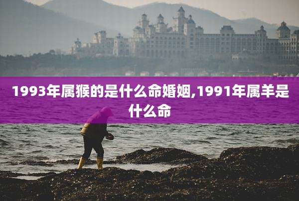 1993年属猴的是什么命婚姻,1991年属羊是什么命