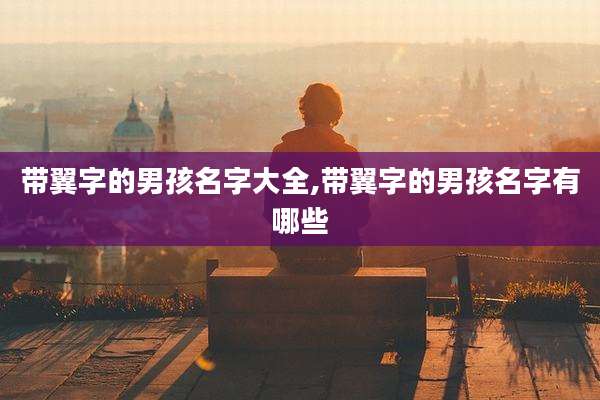 带翼字的男孩名字大全,带翼字的男孩名字有哪些