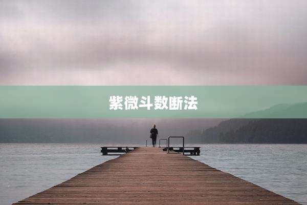 紫微斗数断法