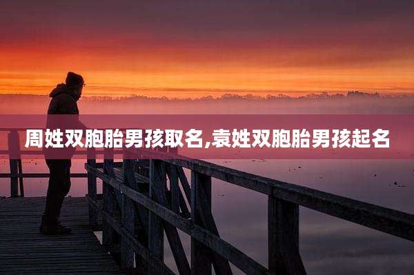 周姓双胞胎男孩取名,袁姓双胞胎男孩起名