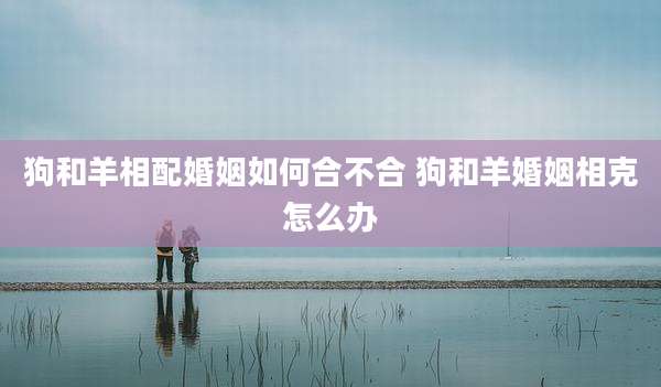 狗和羊相配婚姻如何合不合 狗和羊婚姻相克怎么办