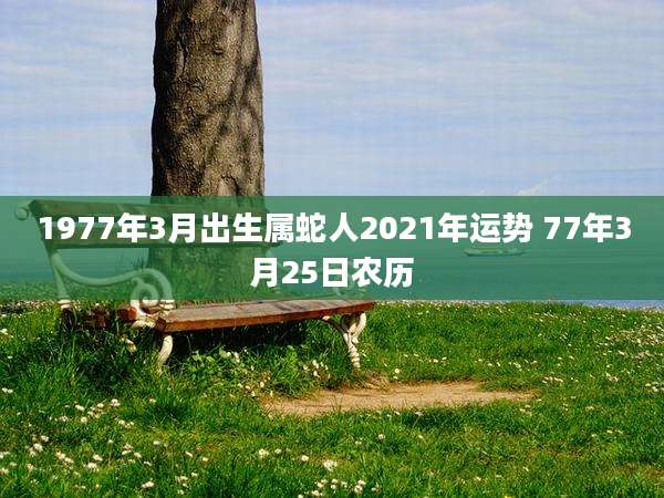 1977年3月出生属蛇人2021年运势 77年3月25日农历