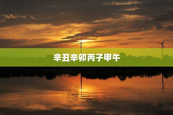 辛丑辛卯丙子甲午