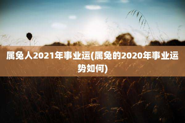 属兔人2021年事业运(属兔的2020年事业运势如何)