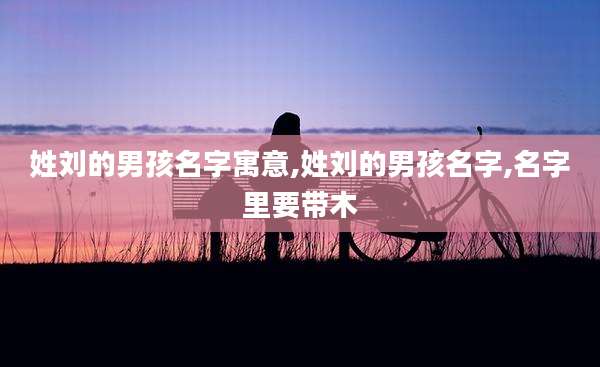 姓刘的男孩名字寓意,姓刘的男孩名字,名字里要带木