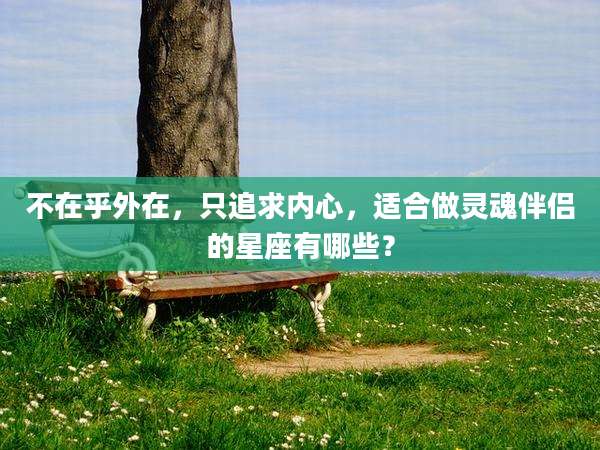 不在乎外在，只追求内心，适合做灵魂伴侣的星座有哪些？