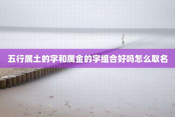 五行属土的字和属金的字组合好吗怎么取名