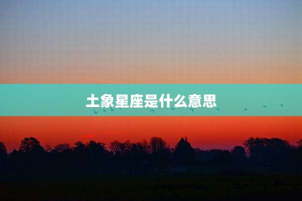 土象星座是什么意思