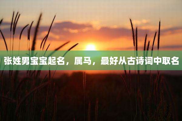 张姓男宝宝起名，属马，最好从古诗词中取名