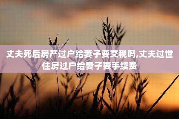 丈夫死后房产过户给妻子要交税吗,丈夫过世住房过户给妻子要手续费