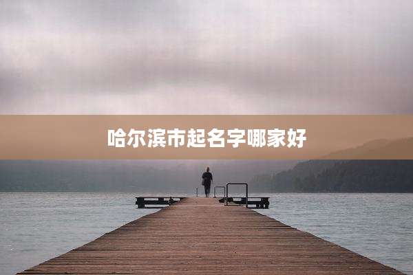 哈尔滨市起名字哪家好