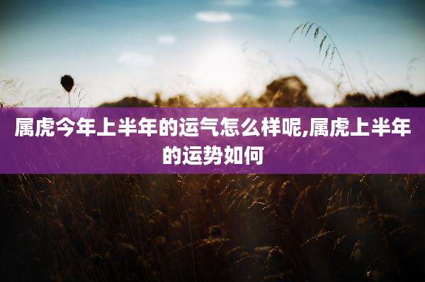 属虎今年上半年的运气怎么样呢,属虎上半年的运势如何