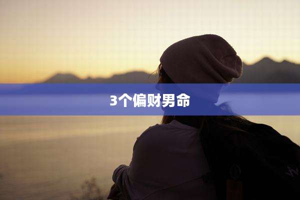 3个偏财男命