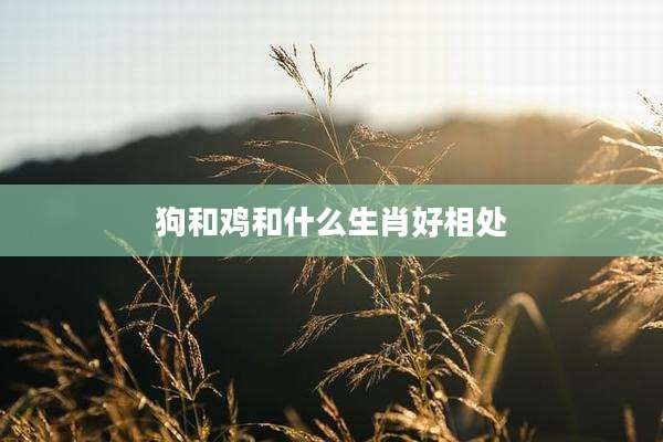 狗和鸡和什么生肖好相处