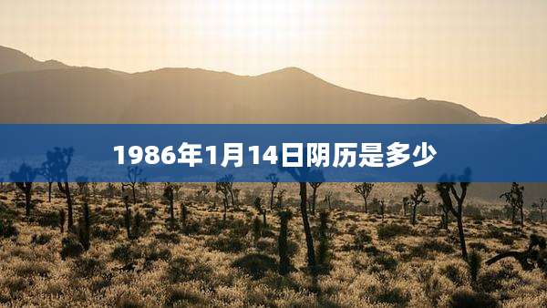 1986年1月14日阴历是多少