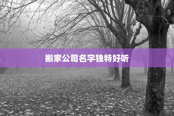 搬家公司名字独特好听
