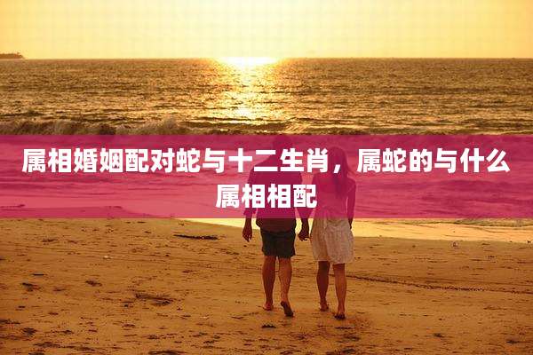 属相婚姻配对蛇与十二生肖，属蛇的与什么属相相配