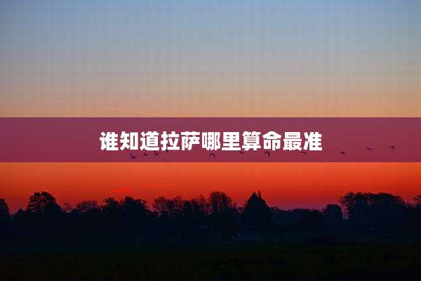 谁知道拉萨哪里算命最准