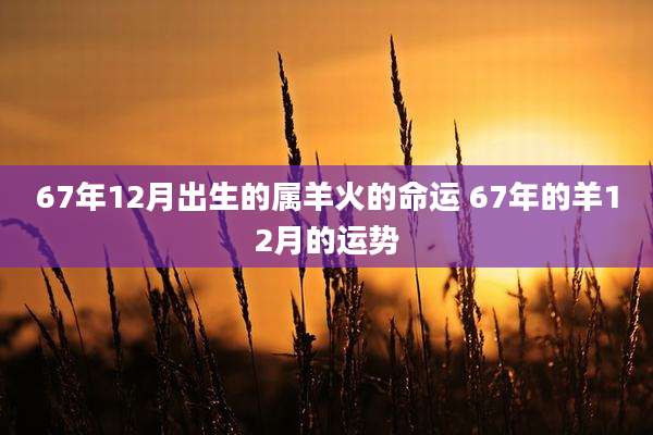 67年12月出生的属羊火的命运 67年的羊12月的运势