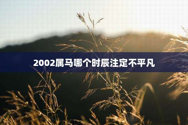 2002属马哪个时辰注定不平凡