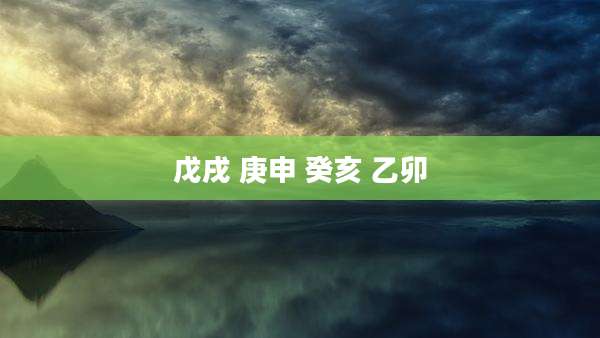 戊戌 庚申 癸亥 乙卯