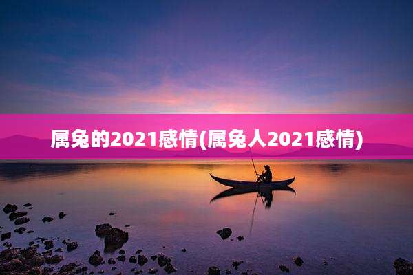 属兔的2021感情(属兔人2021感情)