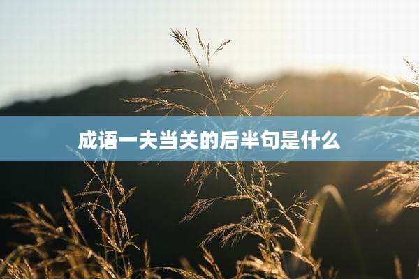 成语一夫当关的后半句是什么