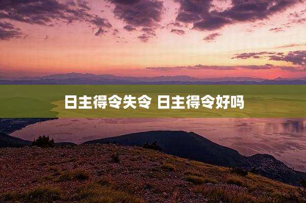 日主得令失令 日主得令好吗