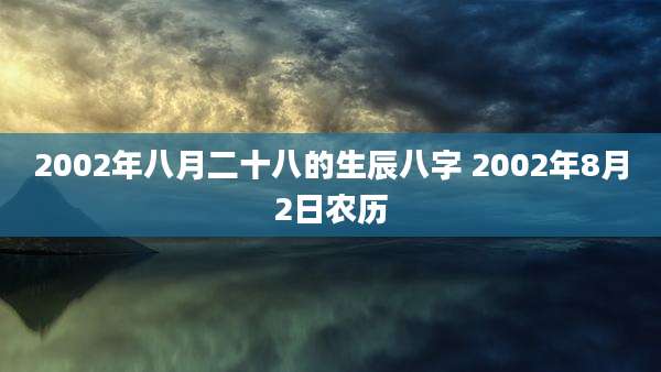 2002年八月二十八的生辰八字 2002年8月2日农历
