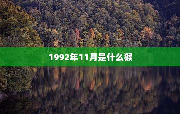 1992年11月是什么猴