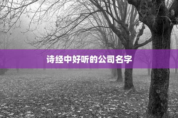 诗经中好听的公司名字