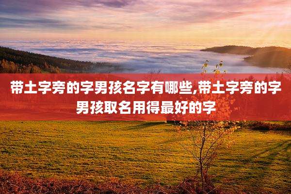带土字旁的字男孩名字有哪些,带土字旁的字男孩取名用得最好的字