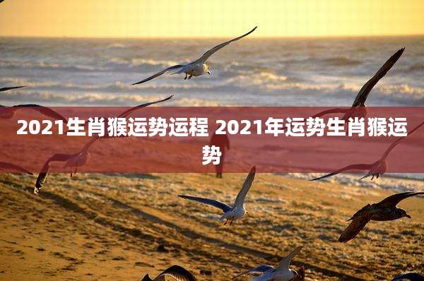 2021生肖猴运势运程 2021年运势生肖猴运势