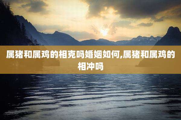 属猪和属鸡的相克吗婚姻如何,属猪和属鸡的相冲吗