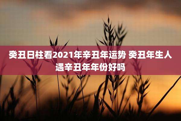 癸丑日柱看2021年辛丑年运势 癸丑年生人遇辛丑年年份好吗